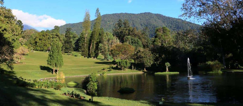 Daya Tarik Wisata Alam dan Lanskap Pegunungan Desa Cibodas