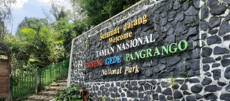 Jalur Pendakian Favorit dan Karakter Medannya Taman Nasional Gunung Gede Pangrango