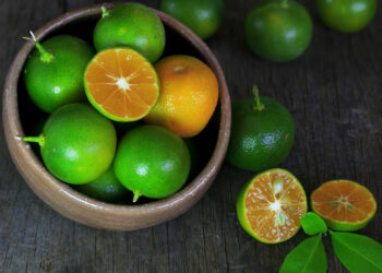 Jeruk Kunci Belitung