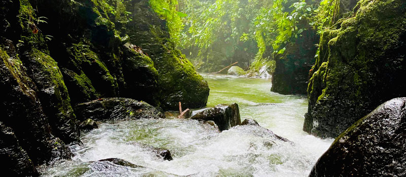 Karakter Alam dan Keunikan Geologi Curug Naga