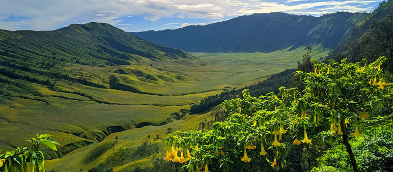 Keanekaragaman Lanskap Lautan Pasir Savana dan Bukit