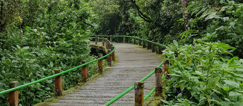 Lokasi dan Akses Menuju Curug Cibeureum Cibodas