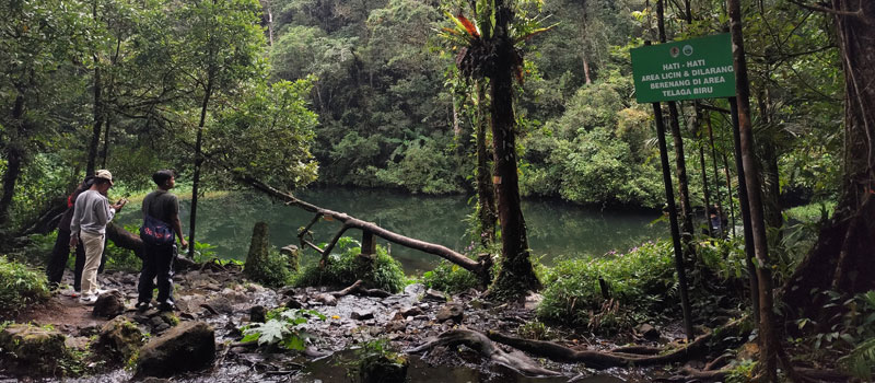 Tips Berkunjung dan Aktivitas yang Direkomendasikan di Desa Cibodas Cianjur