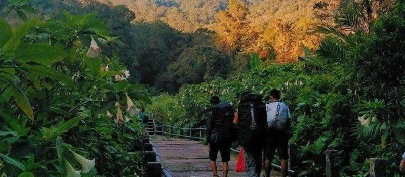 Tips Berkunjung dan Aturan Penting Di Taman Nasional Gunung Gede Pangrango