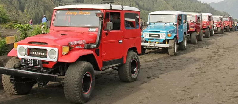 Tips Memilih dan Menggunakan Jeep Wisata Bromo