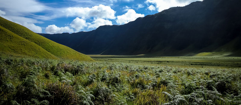 Aktivitas Seru yang Bisa Dilakukan di Bukit Teletubbies Bromo