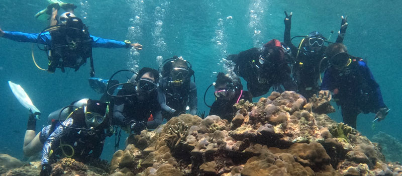 Aktivitas Wisata Seru yang Bisa Dilakukan di Pulau Maratua