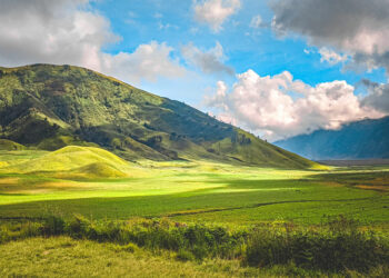 Bukit Teletubbies di Bromo