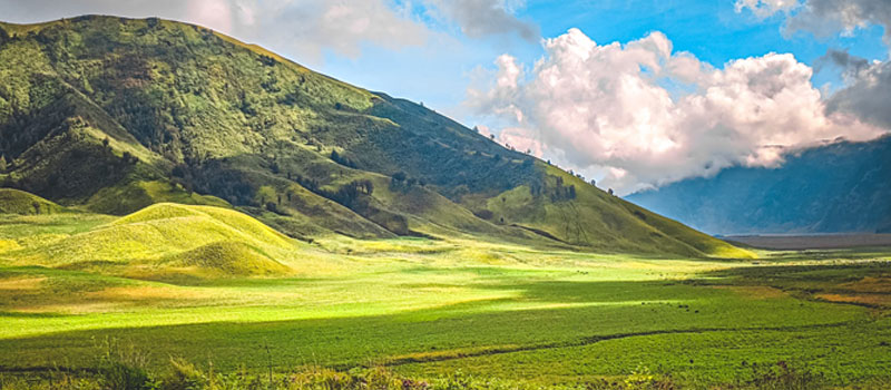 Daya Tarik Utama Bukit Teletubbies di Bromo
