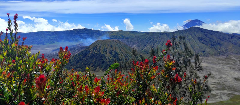Daya Tarik Wisata Alam Gunung Bromo