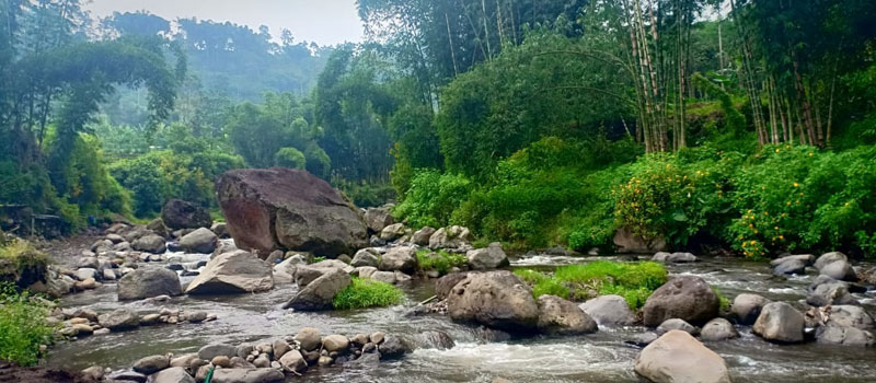Destinasi Populer River Tubing di Indonesia