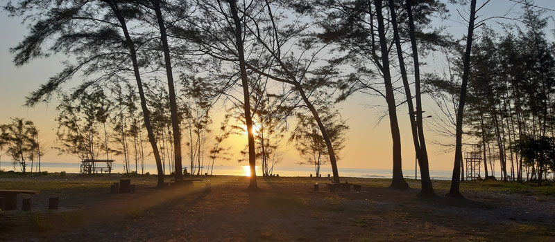 Karakter Alam dan Keindahan Lanskap Pantai Serdang