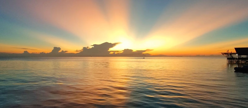 Keunikan Alam Sekitar Water Cottage di Pulau Derawan