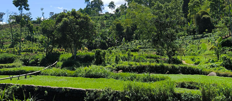 Sejarah dan Asal Usul Nama Dusun Kunci