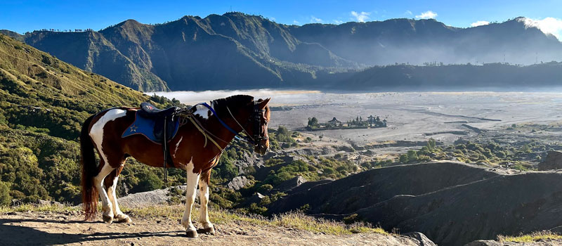 Waktu Terbaik untuk Berkunjung ke Gunung Bromo