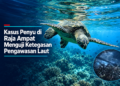 Kasus Penyu di Raja Ampat