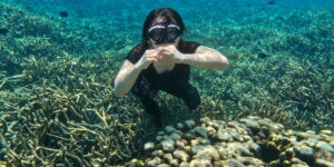 Snorkeling Pulau Sangiang: Spot, Perlengkapan, dan Tips Keselamatan