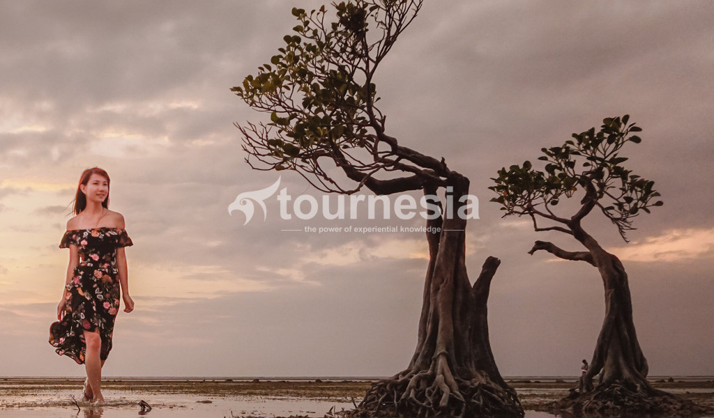 Open Trip Sumba 4 Hari 3 Malam 002