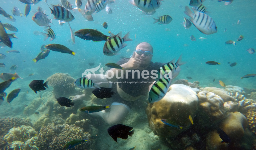 Open Trip Pulau Harapan 006