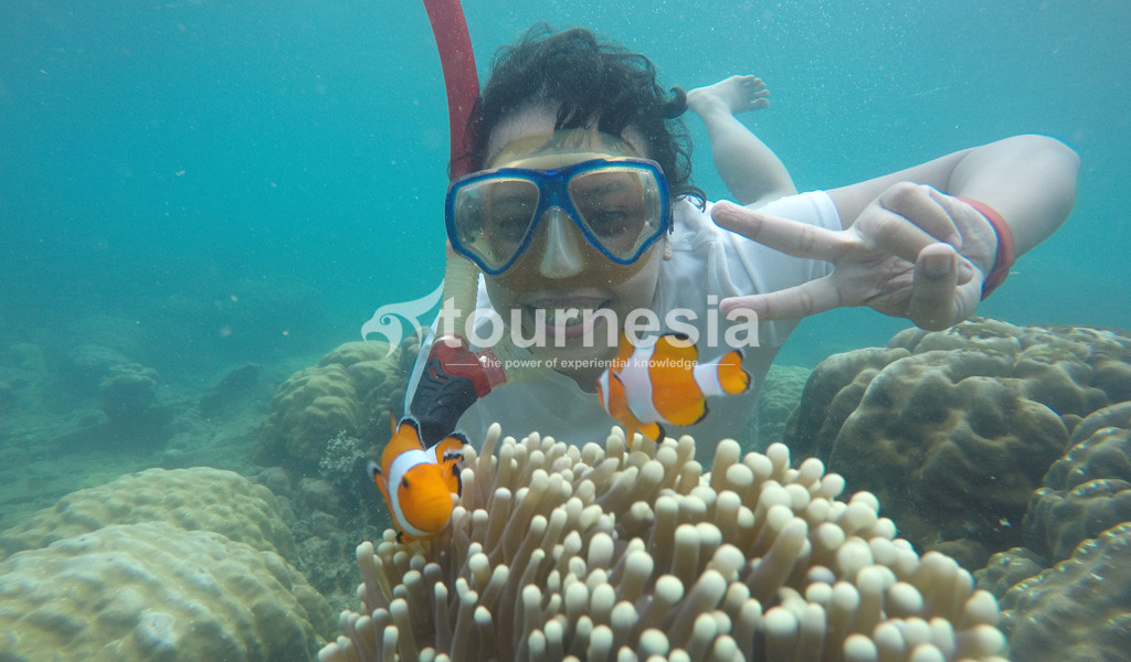 Open Trip Gunung Krakatau 005
