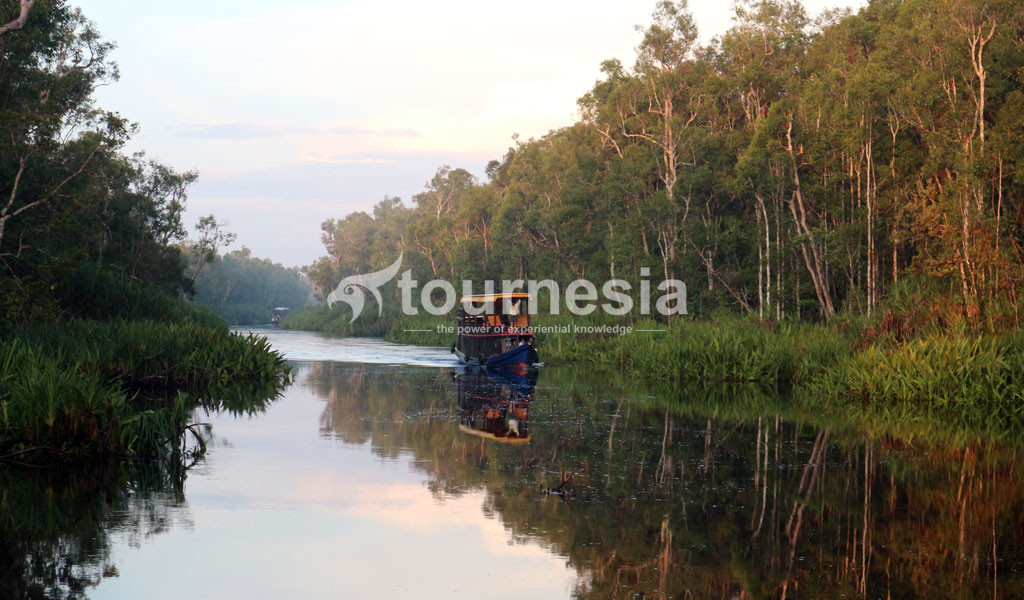 Open Trip Taman Nasional Tanjung Puting 003