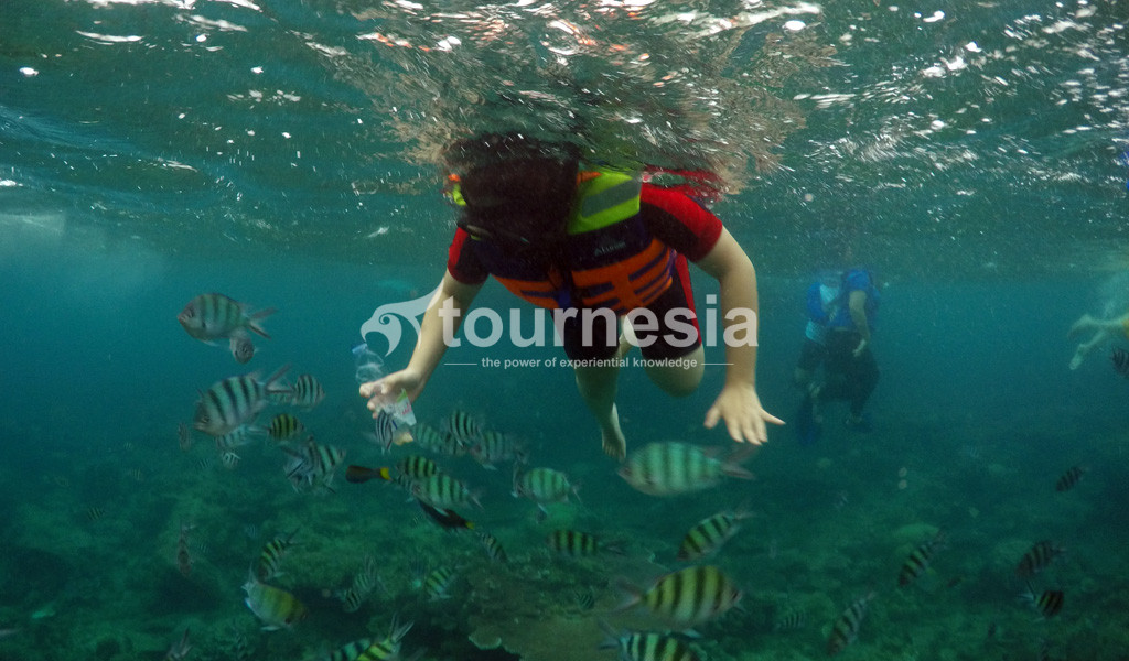 Open Trip Belitung 1 Hari 004