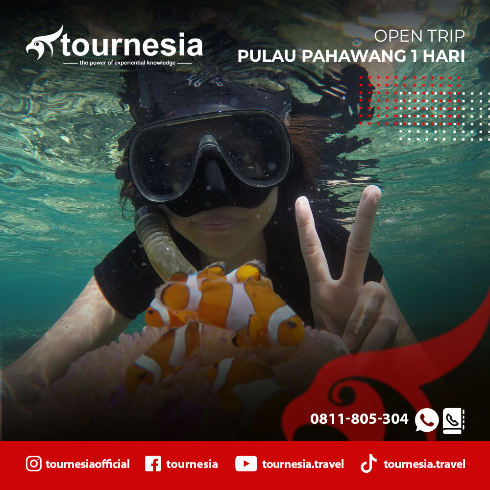 Pulau Pahawang 1 Hari