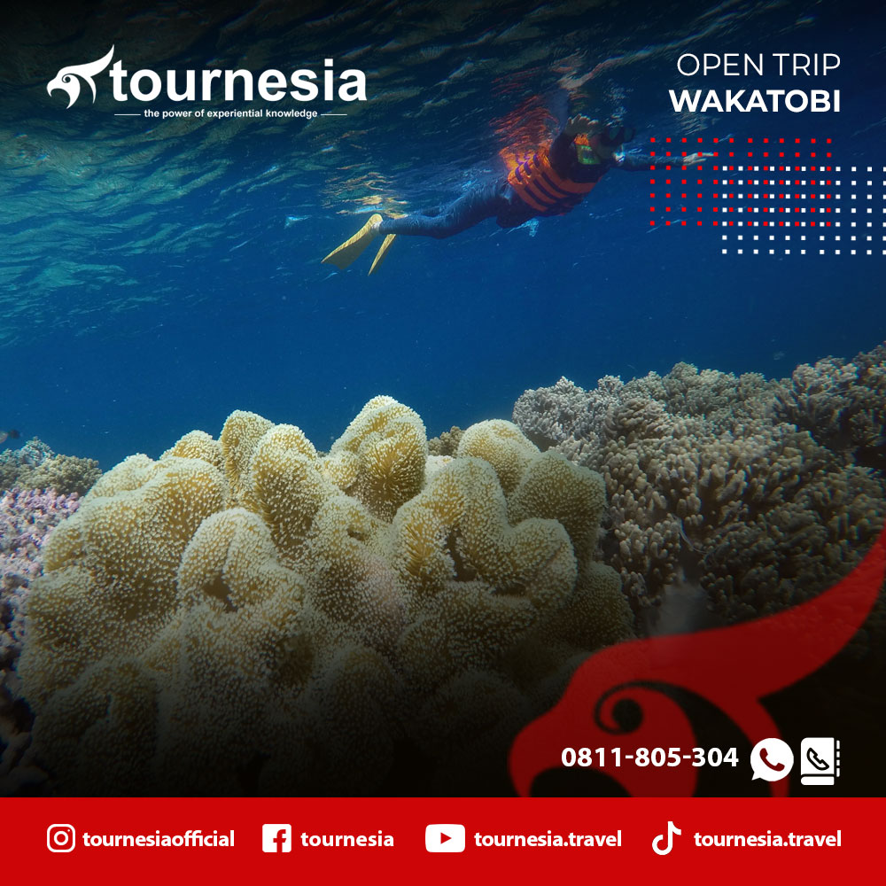 Wakatobi